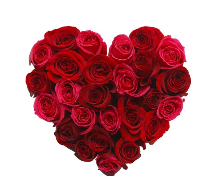 Heart-Roses-Killingsworth-Environmental-Charlotte-NC-e1536872711563.jpg