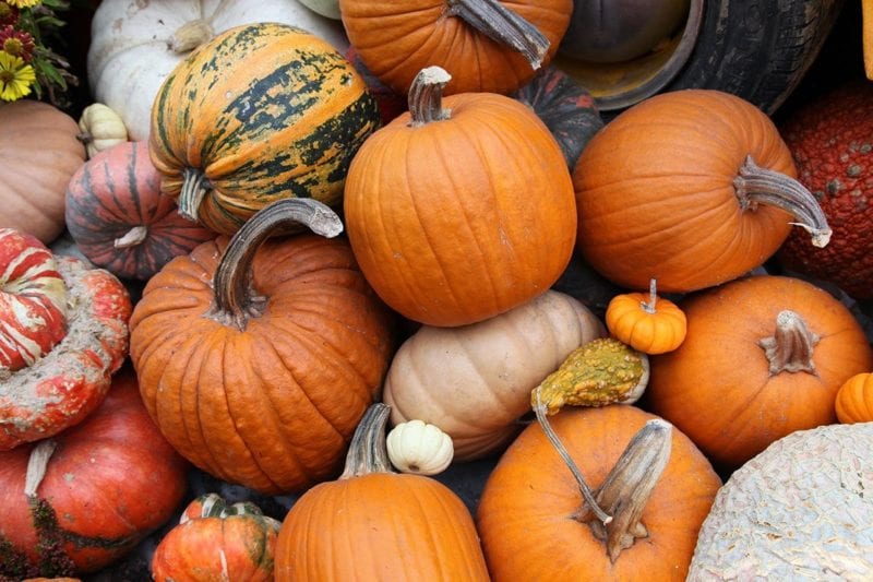 KWE_fall_pumpkin_recipes-e1562780359354.jpg