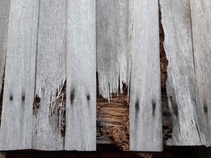 Termite-Infected-Wood-Planks-Killingsworth-Environmental-Charlotte-NC-e1536872752111.jpg