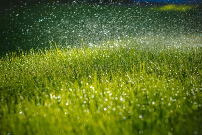 Green-Grass-and-Sprinkler-System-Killingsworth-Environmental-Charlotte-NC-e1536872921404.jpg