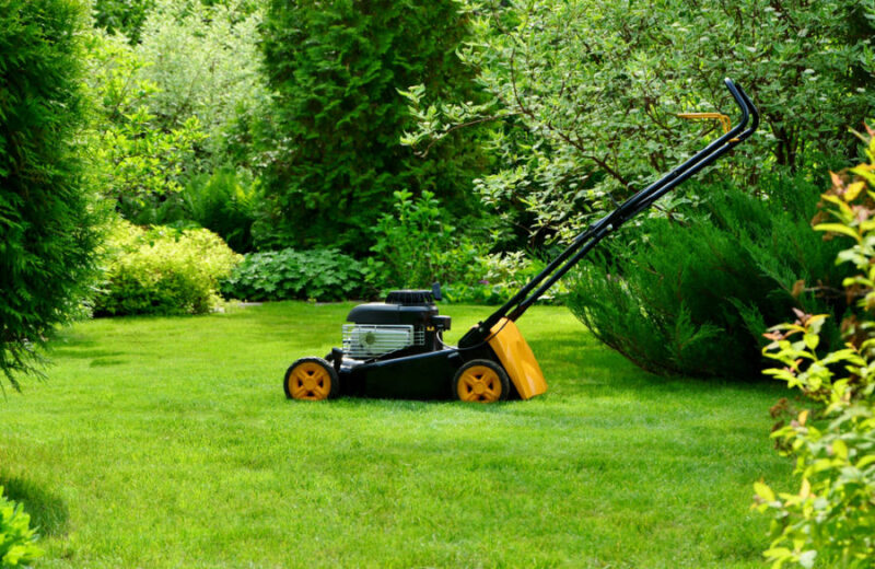 mower-1-e1587407729704.jpg