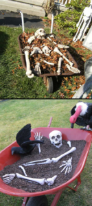 buying skeleton front yard