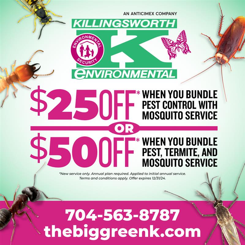 How we treat Termites Killingsworth Environmental Pest Control