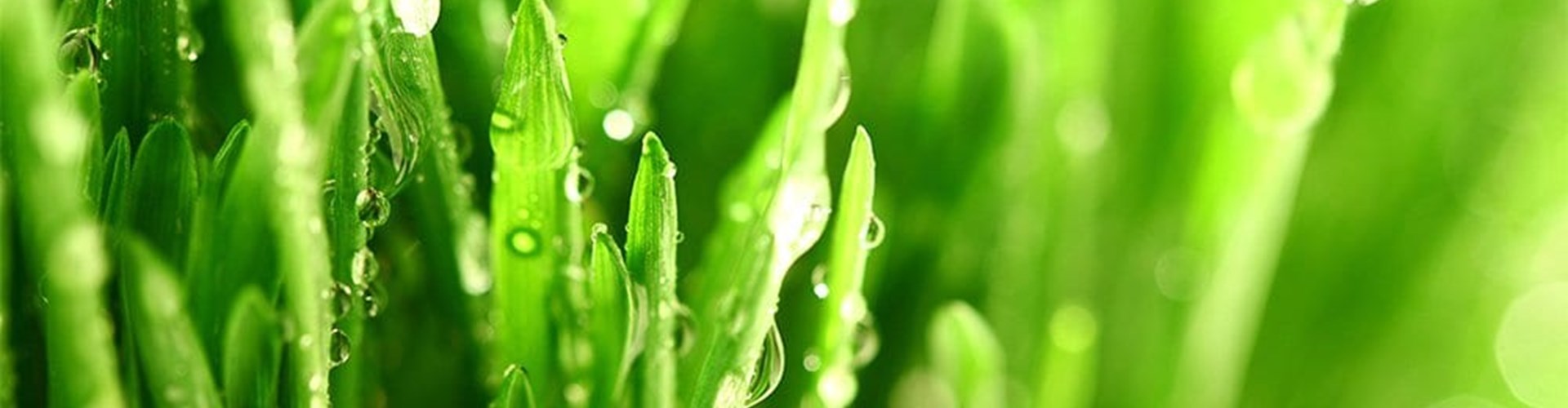 changing water levels