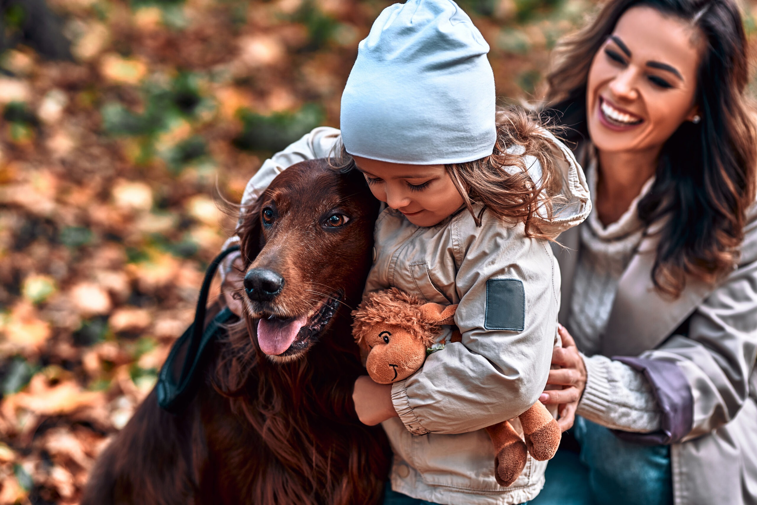 A little girl hugs her dog, holds a toy in her hands, mom is smiling in the background. Autumn park, walk with a dog.