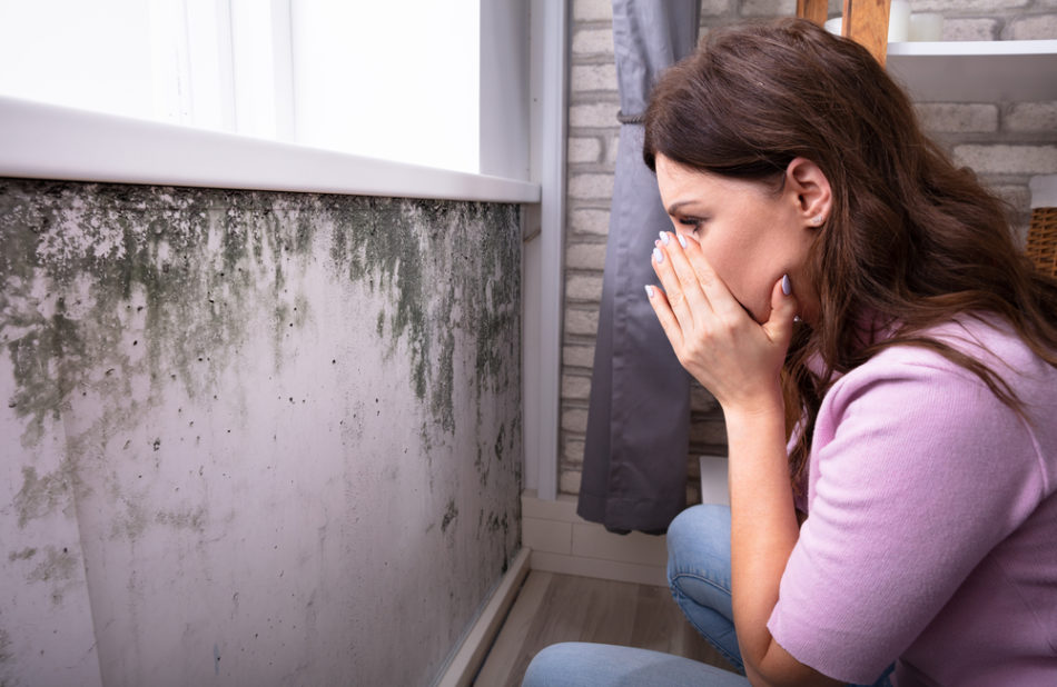 killingsworth-environment-living-with-mold