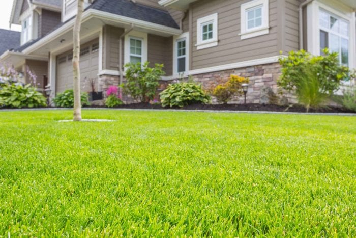 lawn and home yard of the month killingsworth environmental