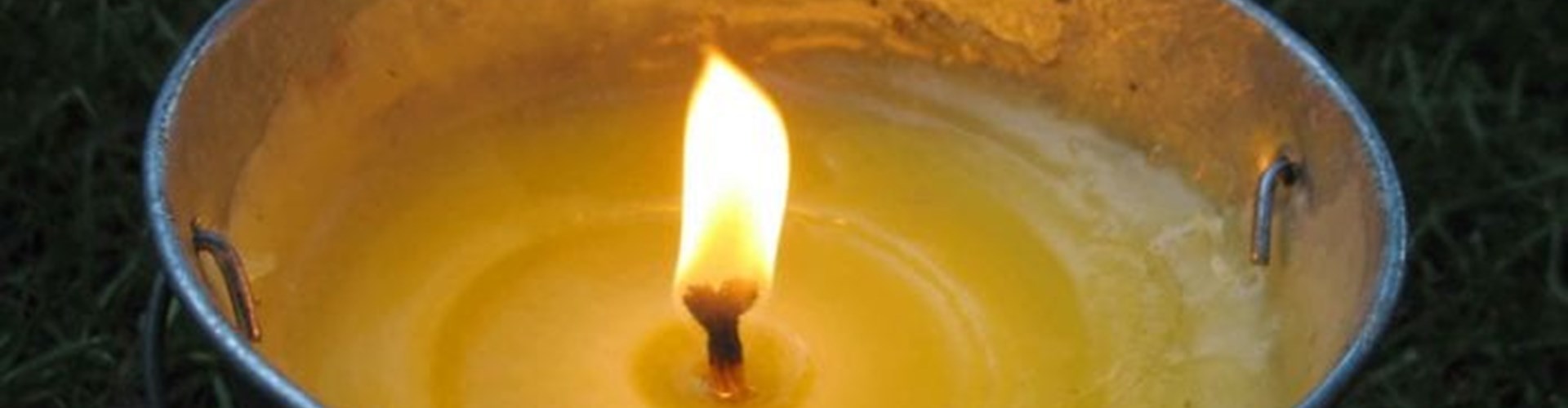 mosquito control killingsworth environmental