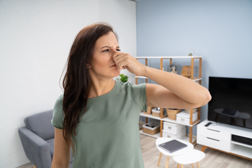 Woman,Covering,Her,Nose,From,Bad,Smell,Inside,The,House