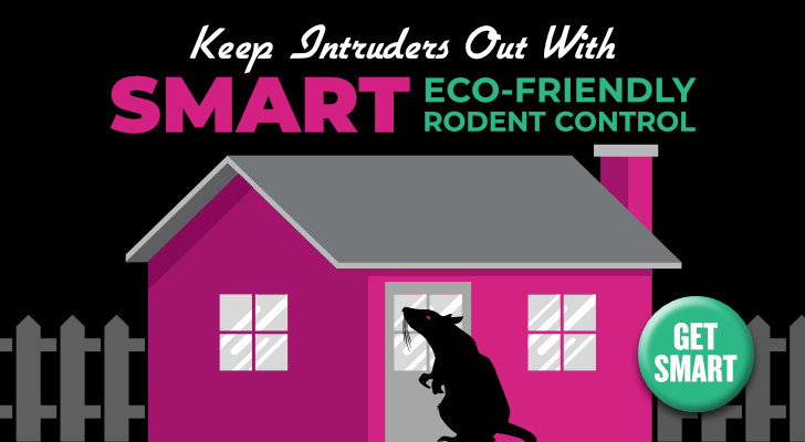 SMART Rodent Control in Charlotte and the Greater Charlotte NC Area