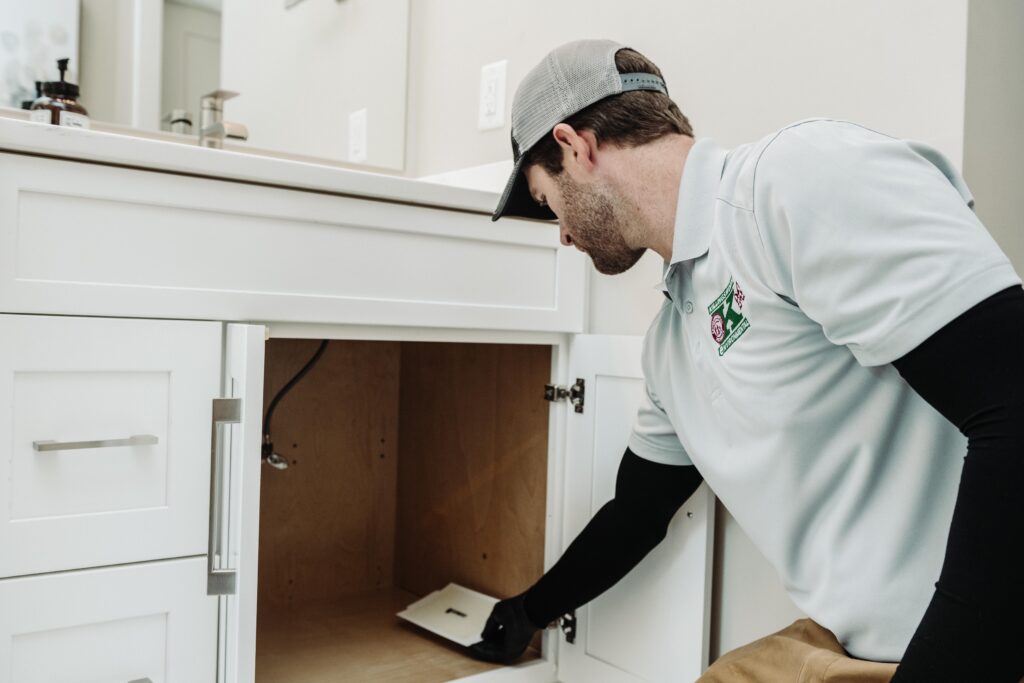 mooresville nc pest control - killingsworth environmental